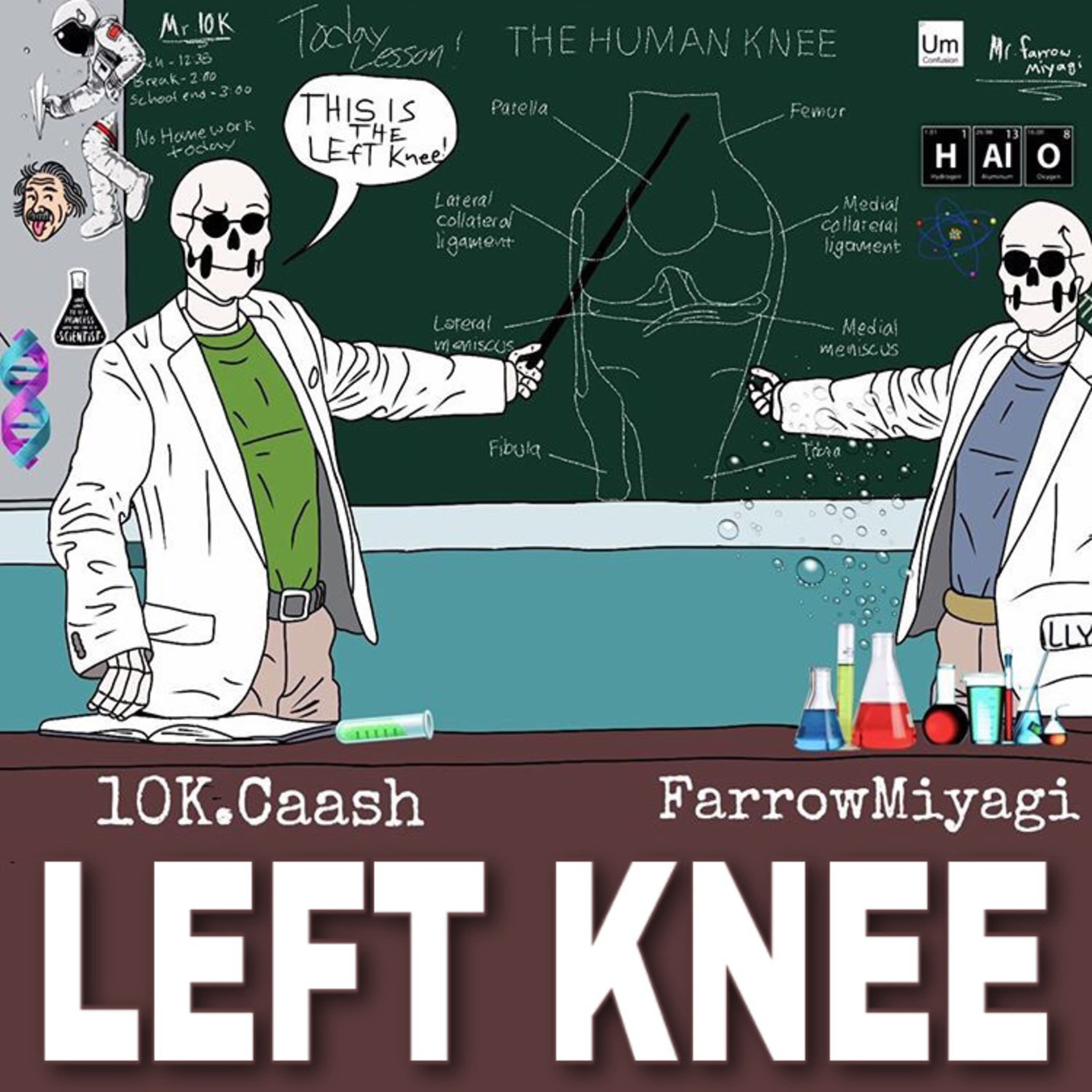 Left Knee
