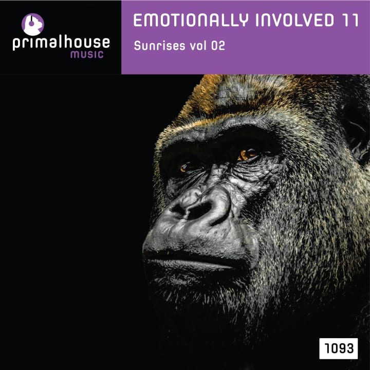 Emotionally Involved 11 Sunrise And Sunset Vol 02