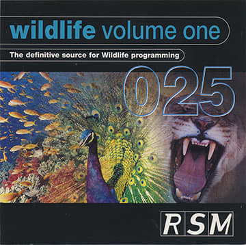 African Young At Play