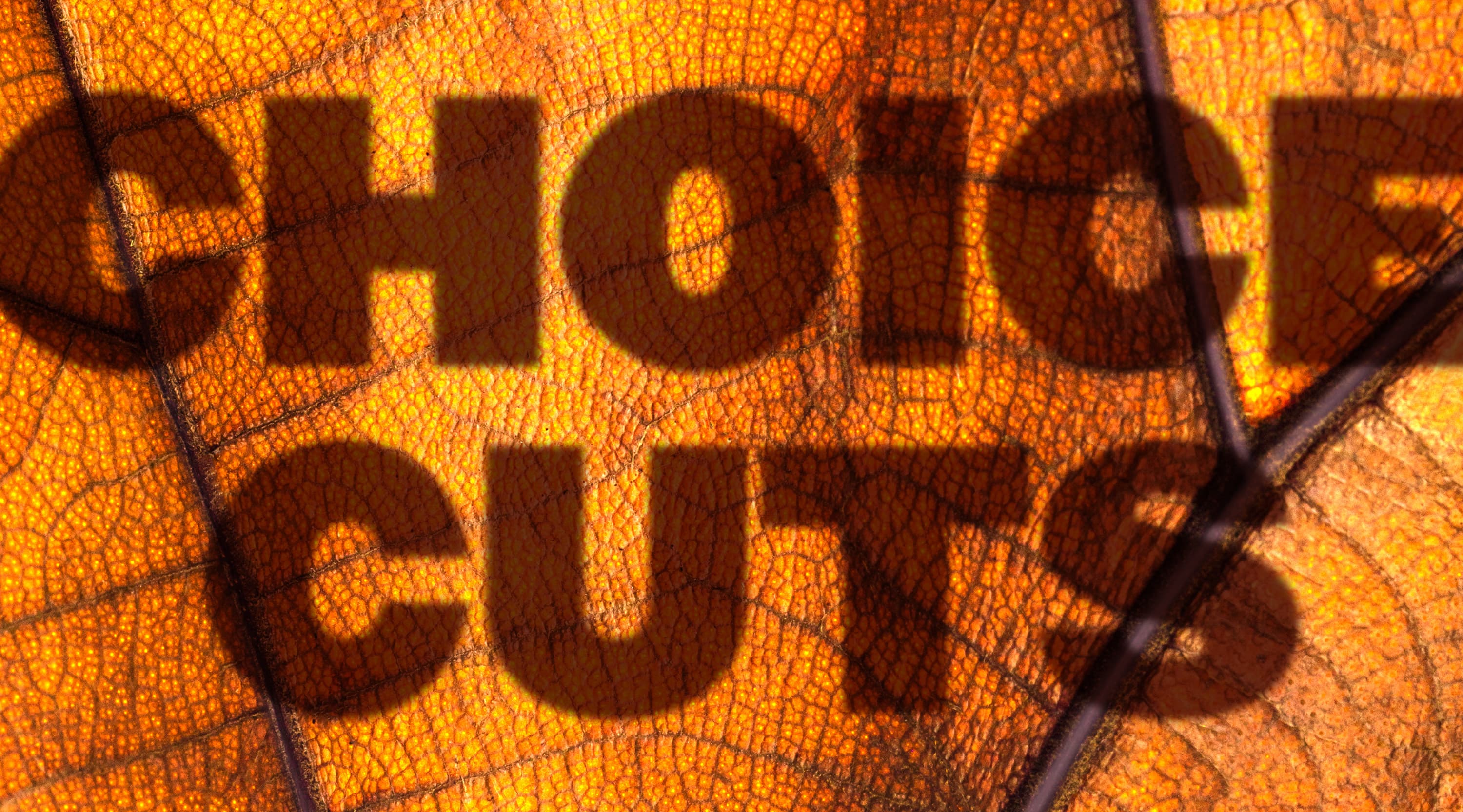 Oct &#39;24 Choice Cuts