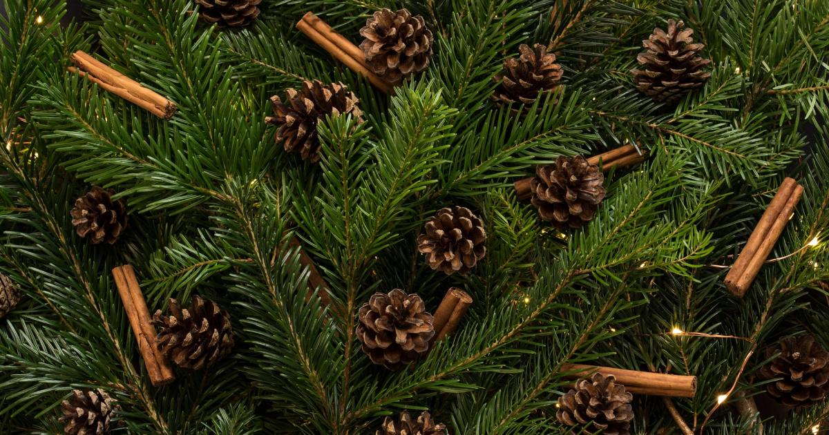 Going green Are fake Christmas trees more ecofriendly than the real