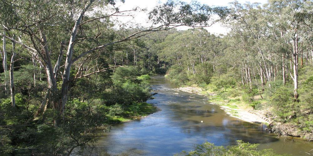 New developments in the legal status of rivers