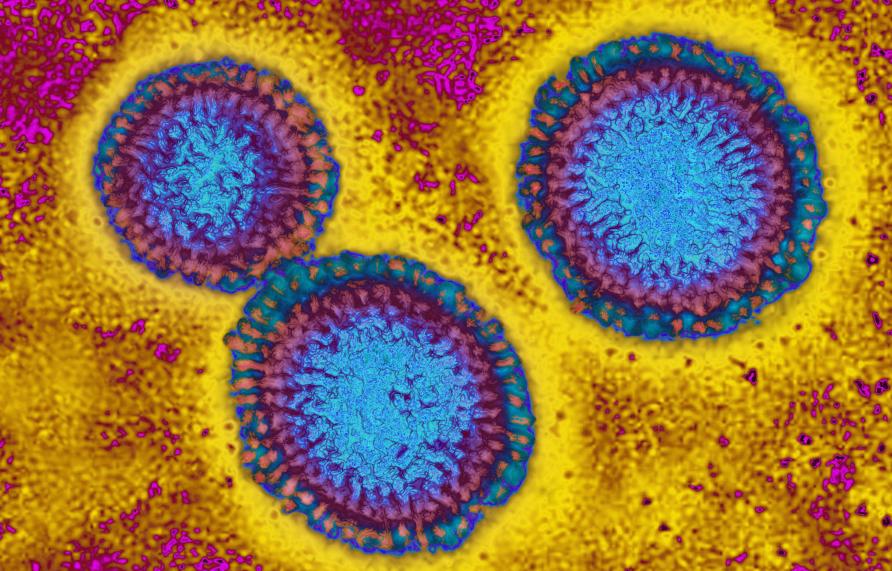 But I got my flu shot? Why the flu vaccine works for some and not others Pursuit by The
