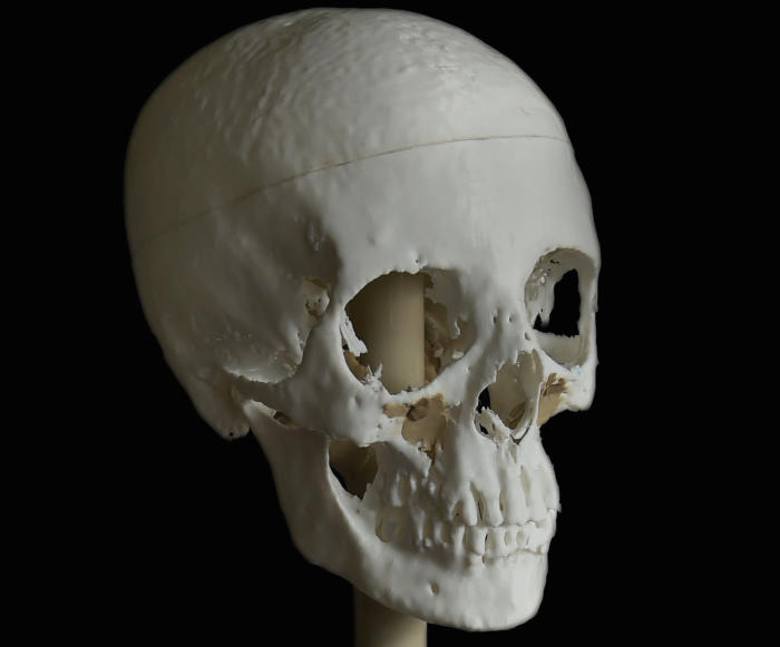 The 3D printed skull of Meritamun took 140 hours to print. Picture: Paul Burston.