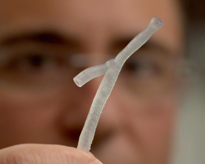 Associate Professor Peter Barlis with a 3D-printed model of a patient’s artery. These models will ultimately be used to build personalised heart stents, reducing the risk of stent collapse or complications. Picture: Paul Burston