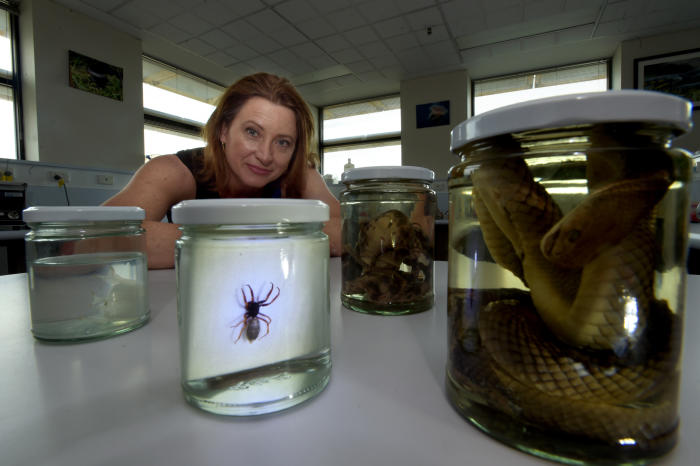 Dr Ronelle Welton says we don’t know enough about the health burden caused by venomous creatures. Picture: Paul Burston.