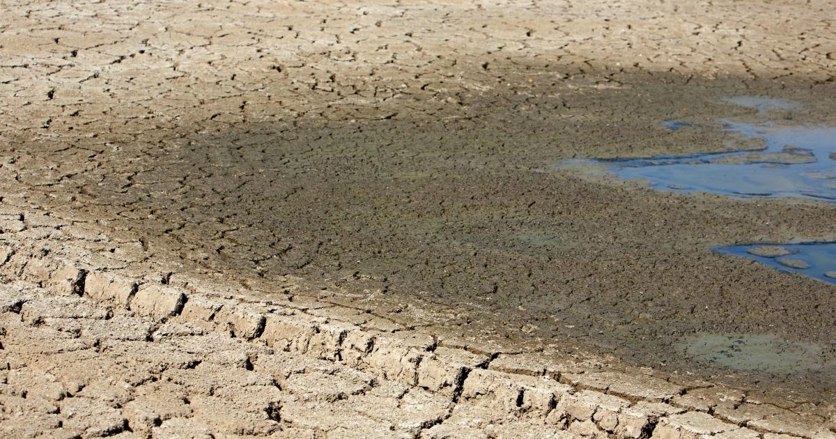Water management worldwide is failing, it’s time for a new approach - Pursuit