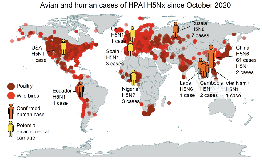 Bird flu, human cases and the risk to Australia Pursuit by The