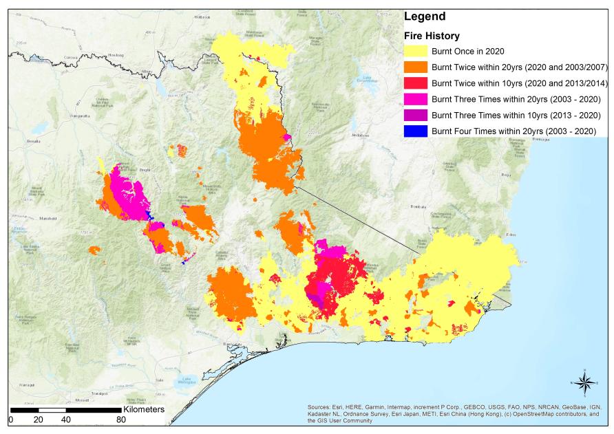 Why Australia’s severe bushfires may be bad news for tree regeneration