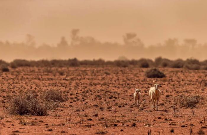 When Will Australia S Drought Break Pursuit By The University Of Melbourne