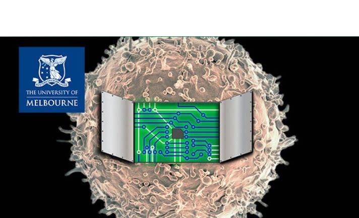 Designed to Order: Contemplating a Future where Synthetic Human Cells are Made on Demand