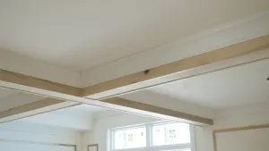 Ceiling Beams 