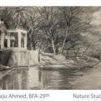 Nature Study - Raju Ahmed