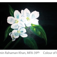 Color of Peace - Sharmin Rahaman Khan