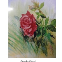 Study Work - Saad Md Rakibuzzaman Khan
