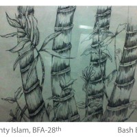 Bash Bagan - Ruponty Islam