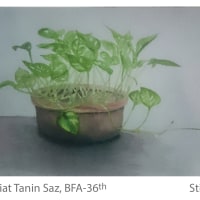 Still Life - Mashiat Tanin Saz