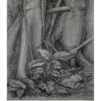 Still Life - Tushar Kanti Sutradhar