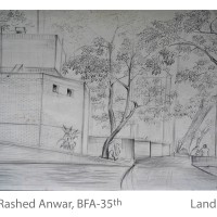 Landscape - Md. Rashe Anwar