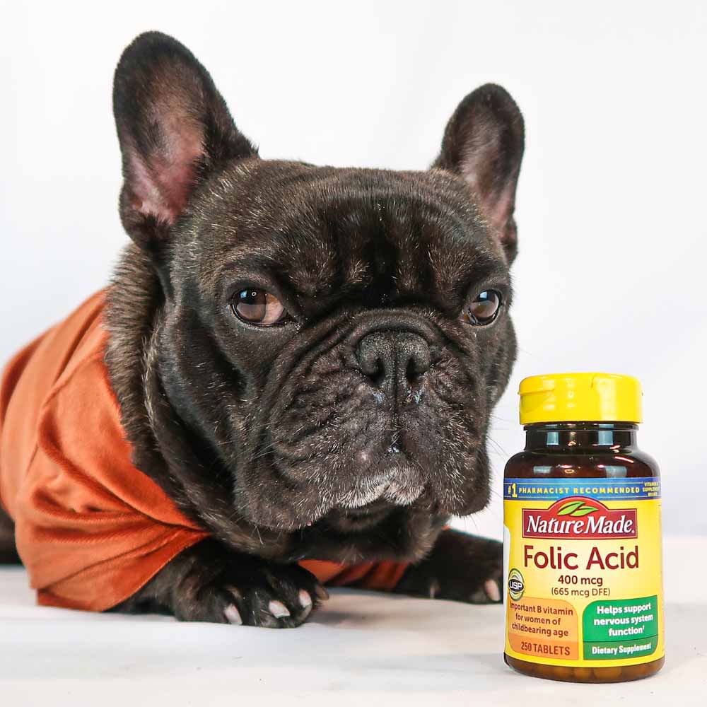 High folate in discount dogs