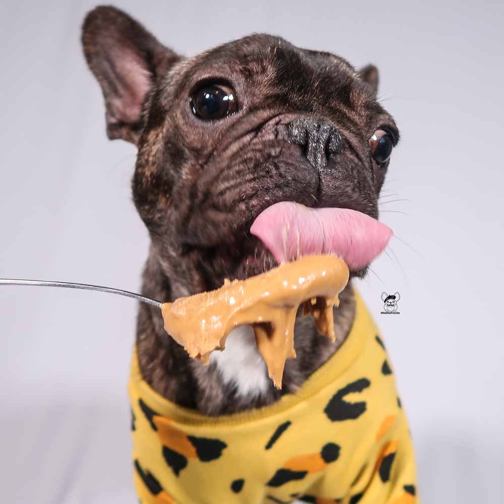 Is Peanut Butter Safe To Feed To Your Dog