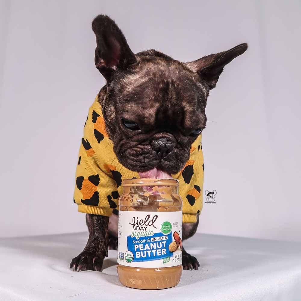 Is Peanut Butter Safe To Feed To Your Dog