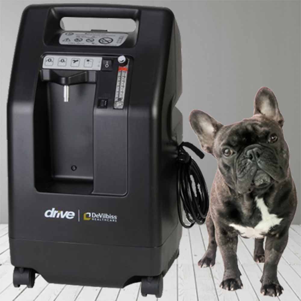 Oxygen Concentrator For Puppies