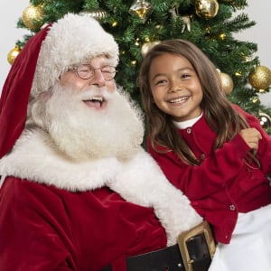 Santa Photos