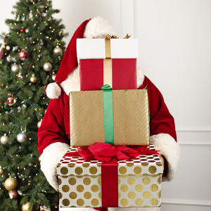 Santa will grant your Wish List