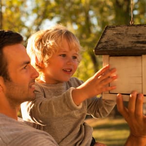 Create Your Own Bird Feeder