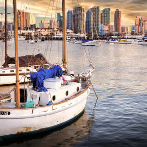 Visit SD Attractions with the Go San Diego Card