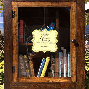 Little Free Library