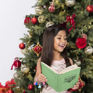 Holiday Entertainment