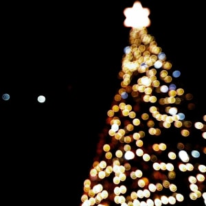 Winter Nights