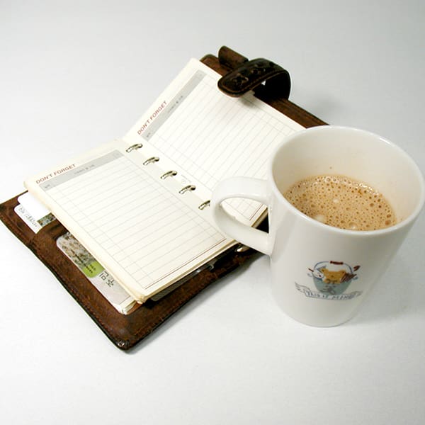 Diaries & Compendiums