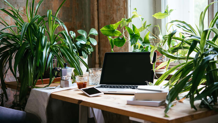 Top 10 Features of a Modern CMS 